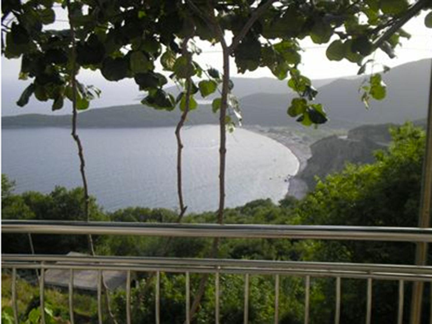Apartments Nikvik Budva Pokoj fotografie